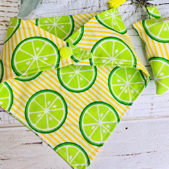 Matching Dog Bandana & Wristlet Keychain Disposable Doggy-Bag Cover (Set) - Picture 3 of 4